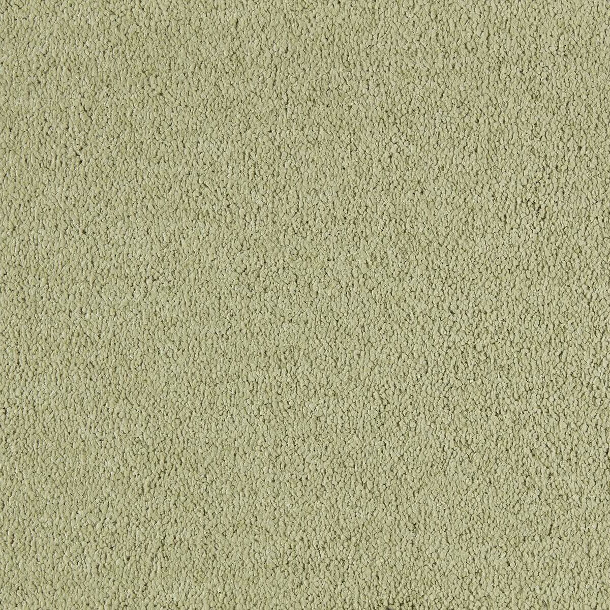 Incasa-540-Curry